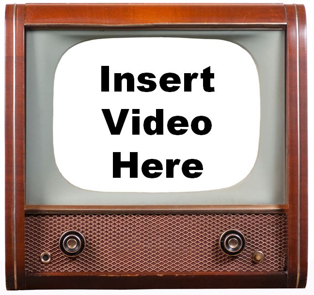 insert video1.JPG